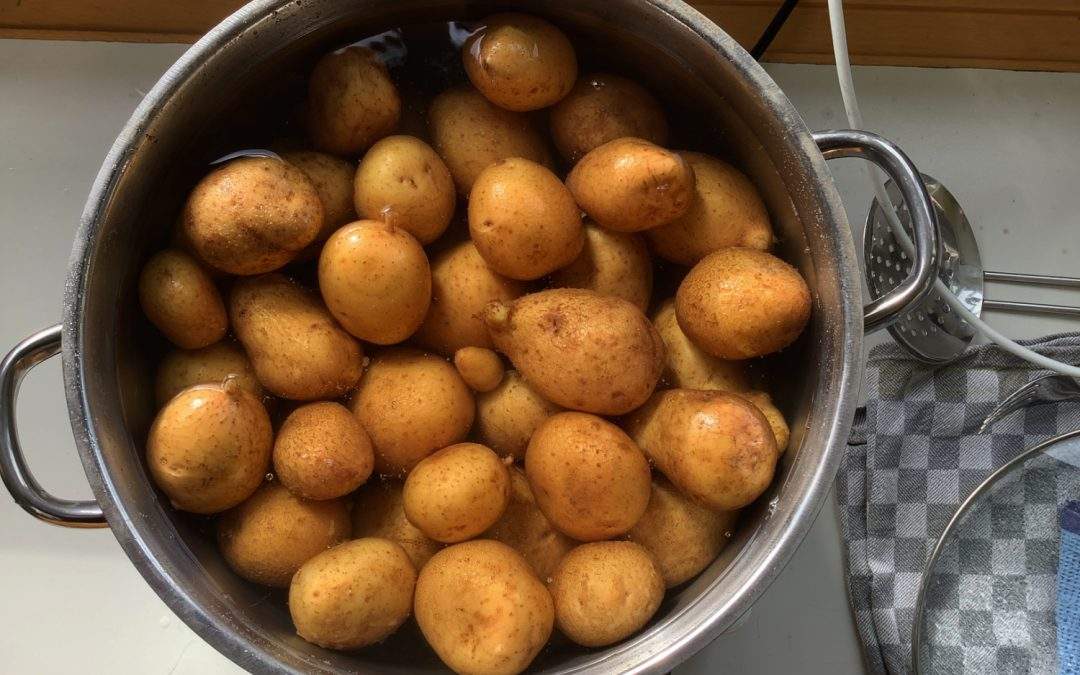 Früchte mühevoller Arbeit